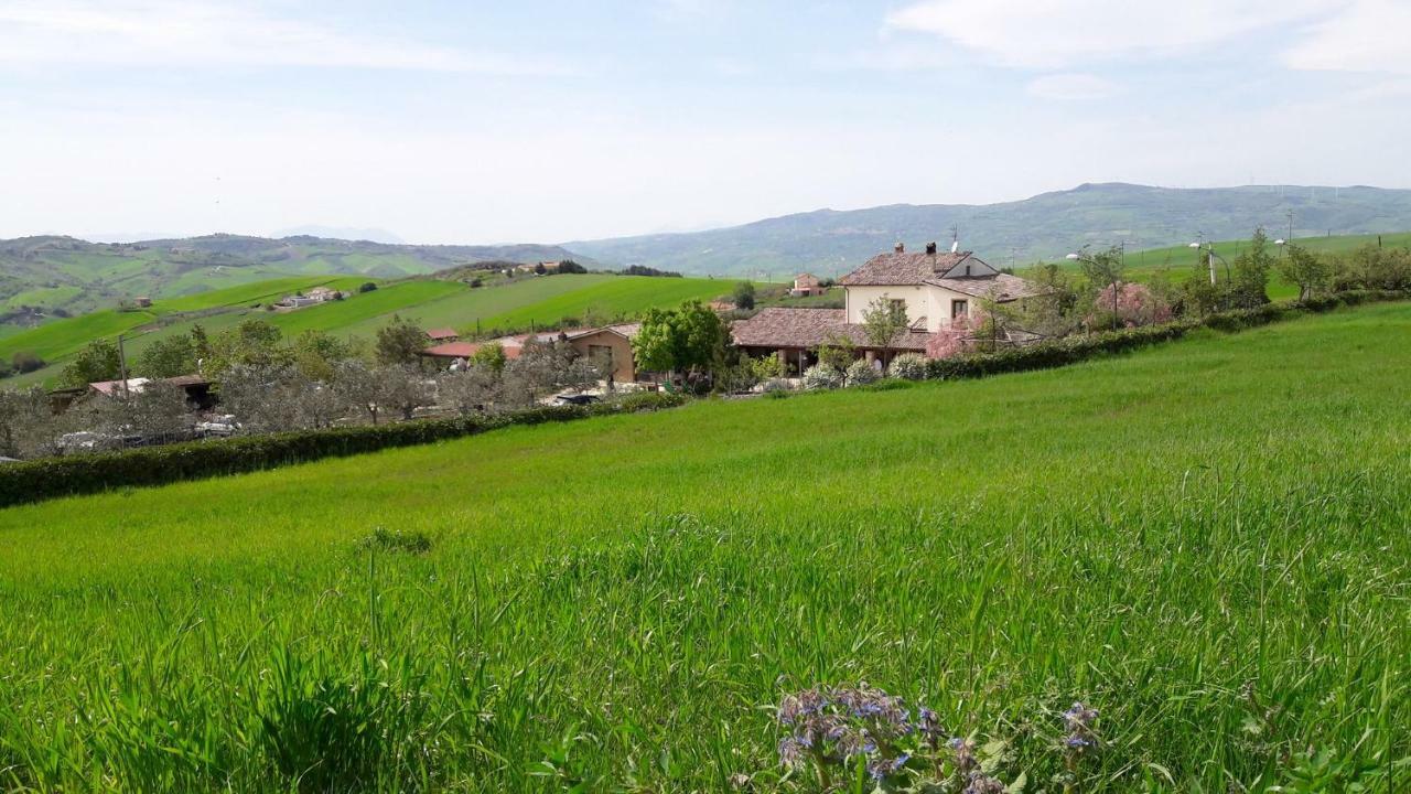 אריאנו אירפינו Agriturismo Regio Tratturo מראה חיצוני תמונה